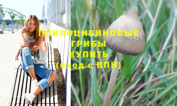 бутират Балахна