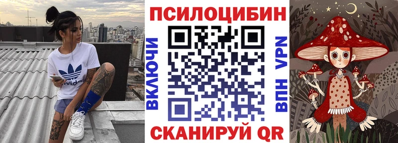 МЕГА вход  где купить наркотик  Нерюнгри  Галлюциногенные грибы мухоморы 